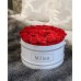 The NoNo Bracket Company Premium Roses| Real Roses That Last a Year | Fresh Flowers| Roses in a White Box - Millan Roses