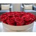 The NoNo Bracket Company Premium Roses| Real Roses That Last a Year | Fresh Flowers| Roses in a White Box - Millan Roses