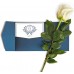 Inspiraterra - 100 Long Stem Roses - Fresh Cut. Delivered at Your Door Within 4 Business Days. (Bulk) (White)